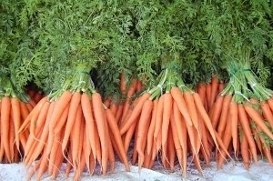 Калорийность моркови, полезные свойства
