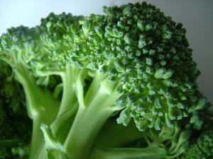 Калорийность брокколи, полезные свойства - Полезные свойства брокколи