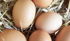 Калорийность яйца, полезные свойства