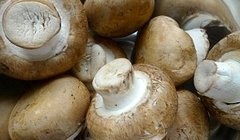 Калорийность грибов, полезные свойства