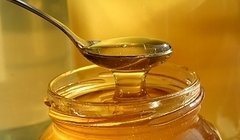 Калорийность меда, полезные свойства