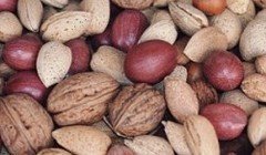 Что должен знать сыроед об орехах