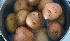 Калорийность картофеля, полезные свойства