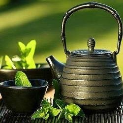 Разгрузочный день на зеленом чае