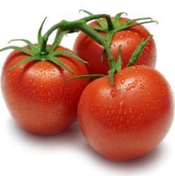 Разгрузочный день на томатах