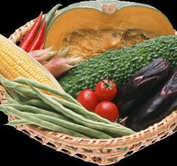 История вегетарианства и виды вегетарианских диет