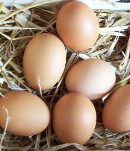  - Калорийность яйца, полезные свойства