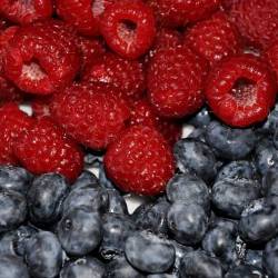 Примерное меню семидневного рациона питания третьего варианта ягодной диеты